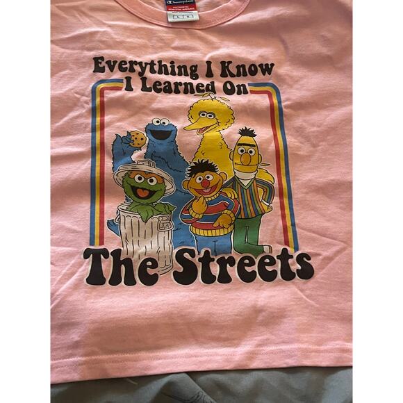 Champion Pink Cropped Sesame St T “Everything I Know I Learned on The Streets” L - Picture 2 of 8
